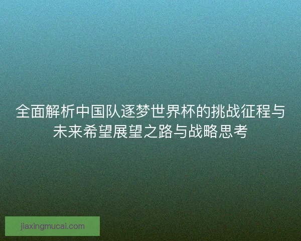 全面解析中国队逐梦世界杯的挑战征程与未来希望展望之路与战略思考