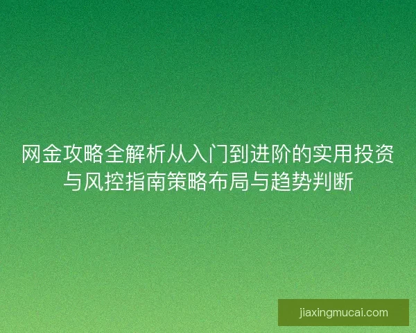 网金攻略全解析从入门到进阶的实用投资与风控指南策略布局与趋势判断